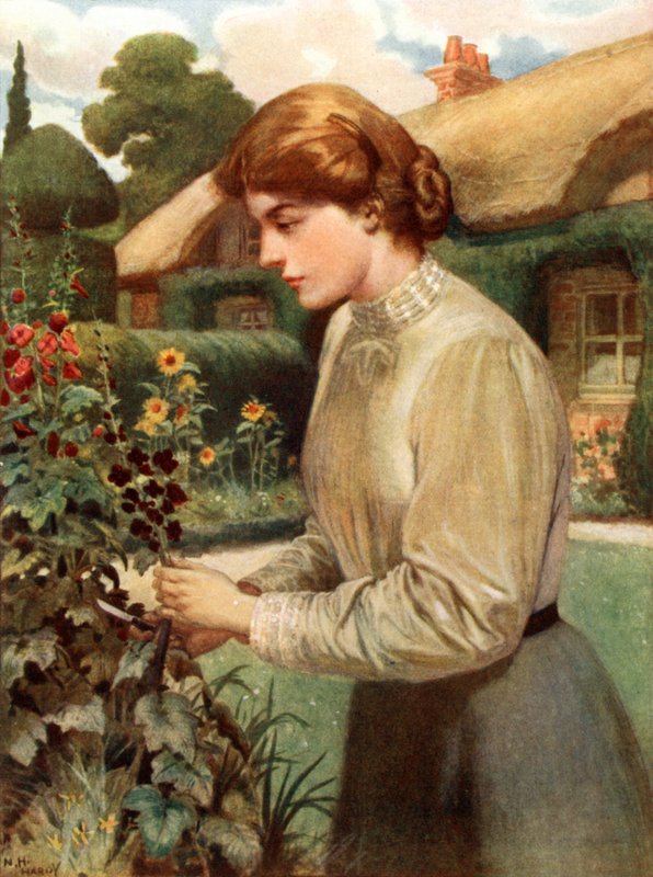 Una ragazza inglese da Norman Hardy