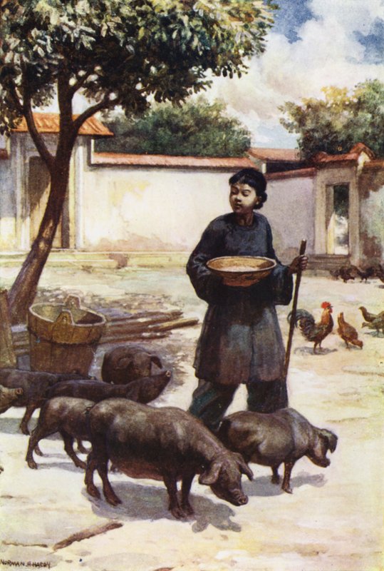 Cina: Un cortile da Norman Hardy