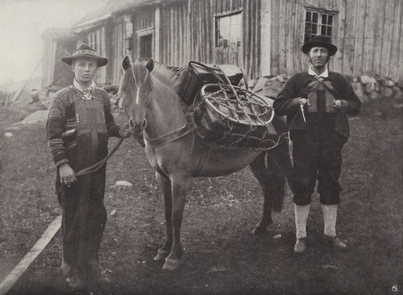 Alpini di Saetersdalen con cavallo da soma da Norwegian Photographer