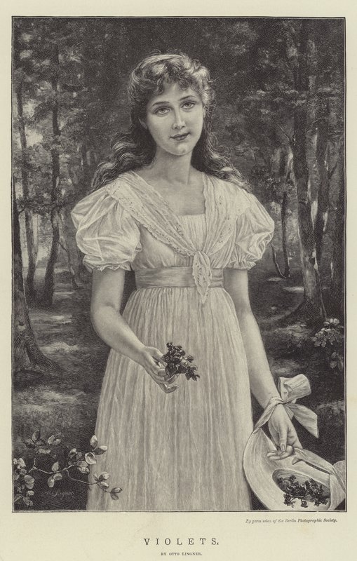 Viole da Otto Theodor Gustav Lingner