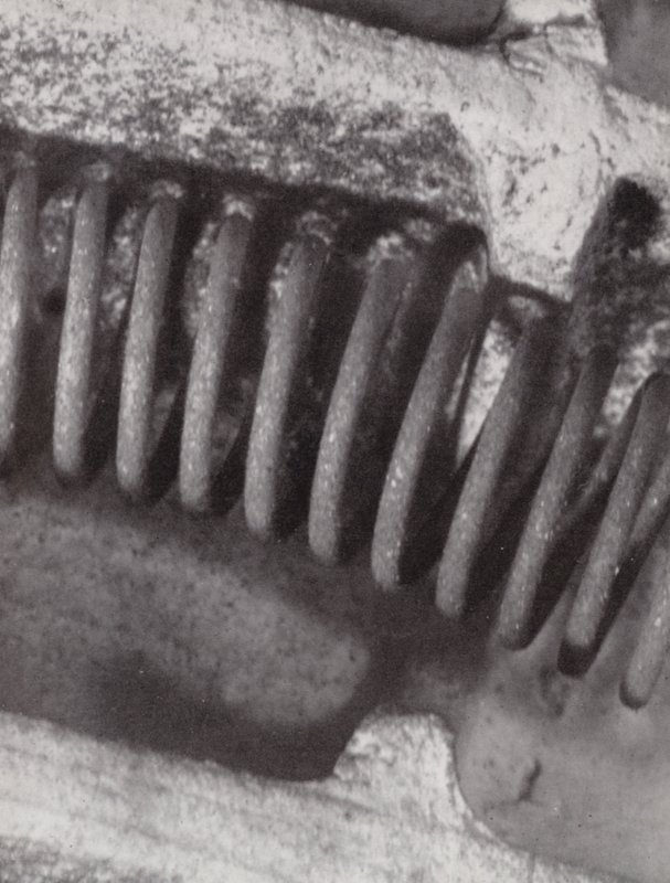 Filamento di un fuoco elettrico (foto in bianco e nero) da Paul Henning