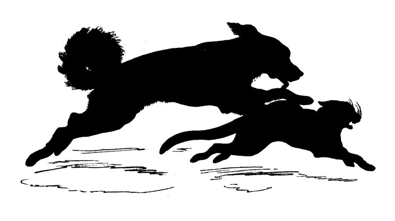 Silhouette di Paul Konewka (litografia) da Paul Konewka