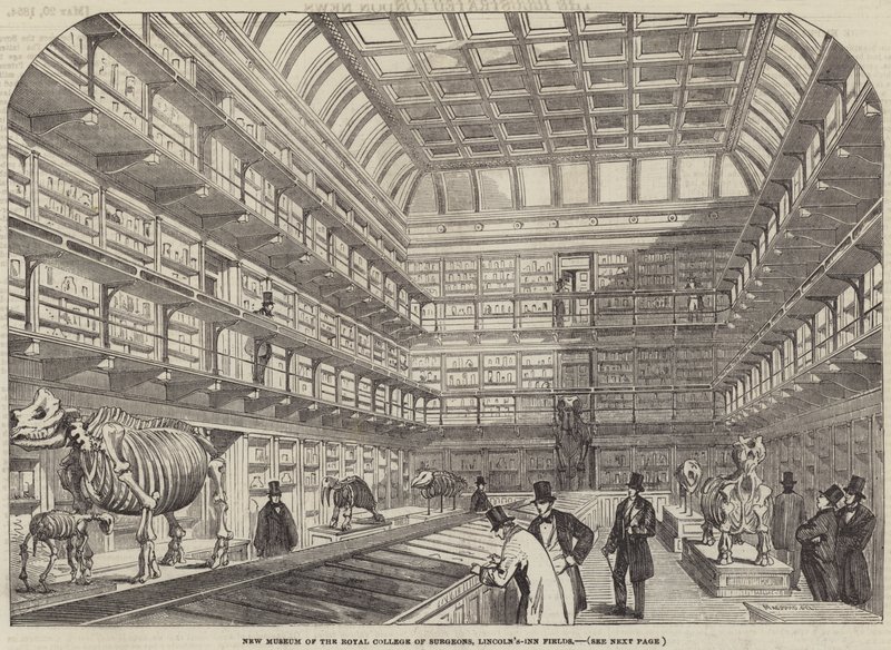 Nuovo Museo del Royal College of Surgeons, Lincoln