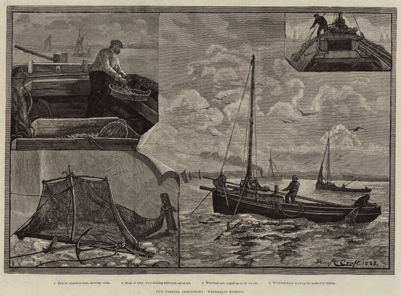 Le nostre industrie della pesca, pesca del bianchetto da Percy Robert Craft