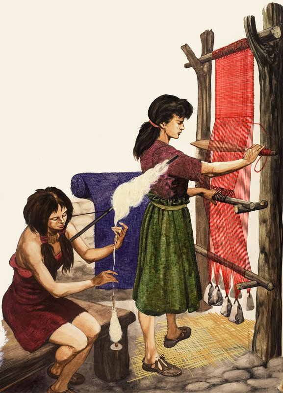 Tessitura del cotone da Peter Jackson