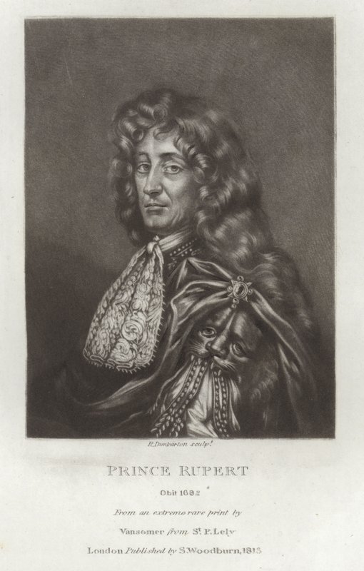 Principe Rupert da Peter Lely