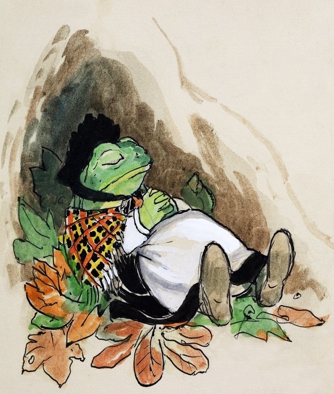Rospo di Toad Hall (gouache su carta) da Philip Mendoza