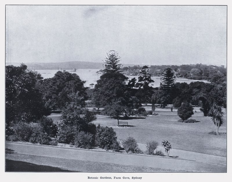 Giardini Botanici, Farm Cove, Sydney da Photographer Australian