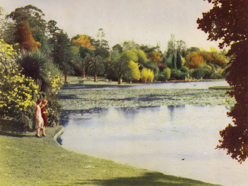 Giardini Botanici di Melbourne da Photographer Australian