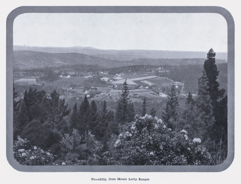 Piccadilly, dalle catene montuose di Mount Lofty da Photographer Australian