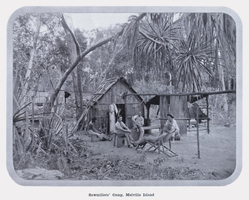 Campo dei Boscaioli, Isola di Melville da Photographer Australian