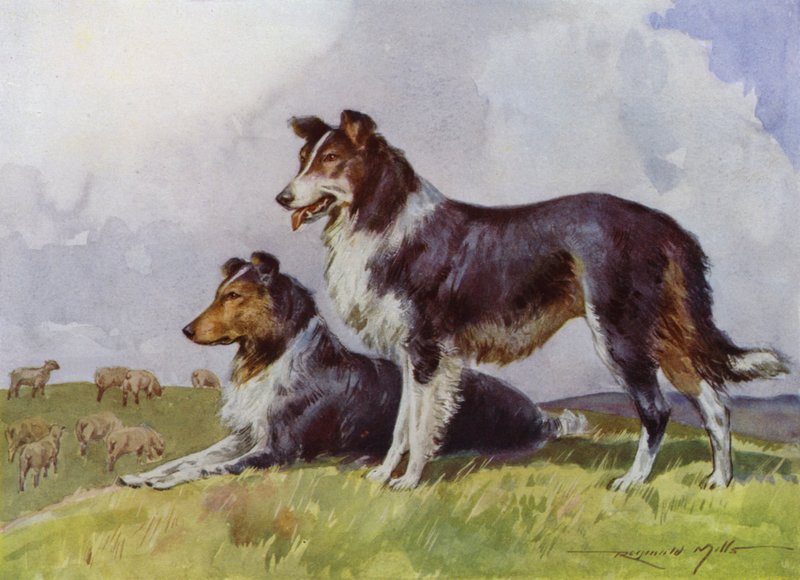 Illustrazione per My Farm da Reginald Mills