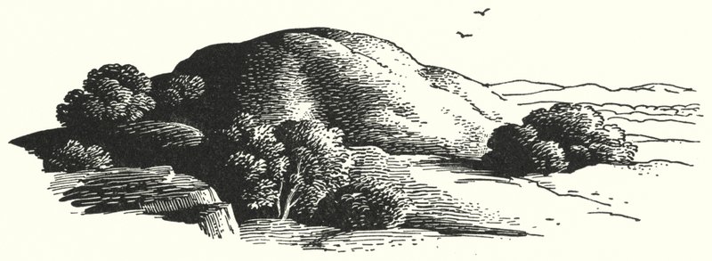 Hans Christian Andersen: Il Monte degli Elfi da Rex (after) Whistler