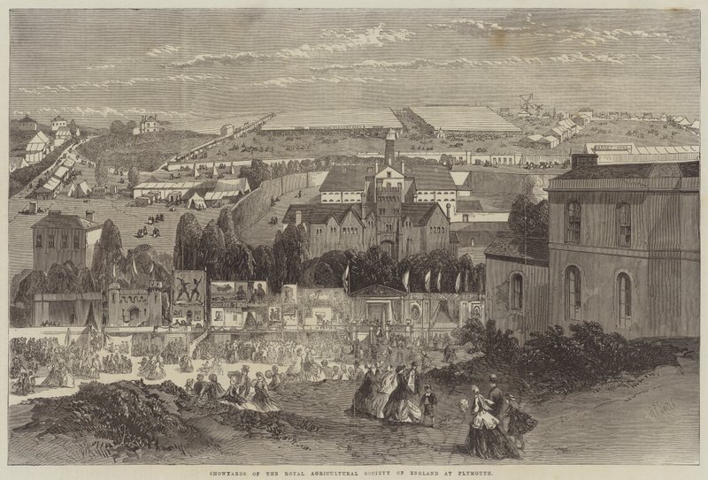 Mostre della Royal Agricultural Society of England a Plymouth da Richard Principal Leitch