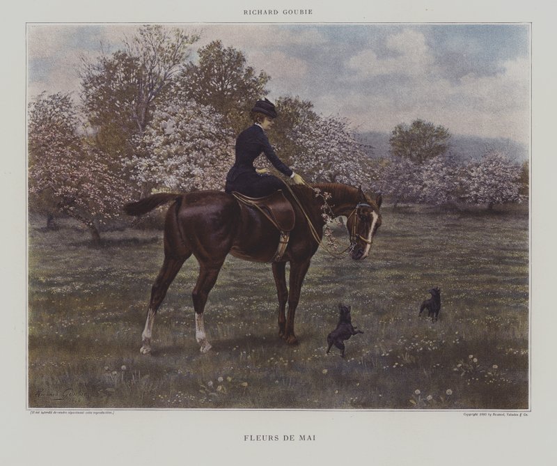 Fiori di Maggio da Richard Doyle