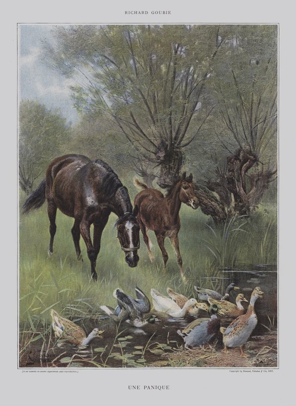 Un Panico da Richard Doyle
