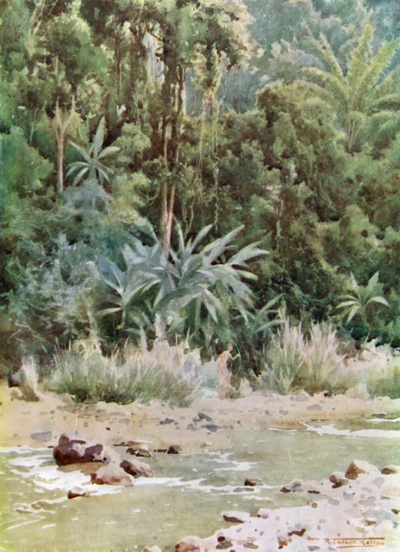 Un ruscello nella giungla da Robert George Talbot Kelly