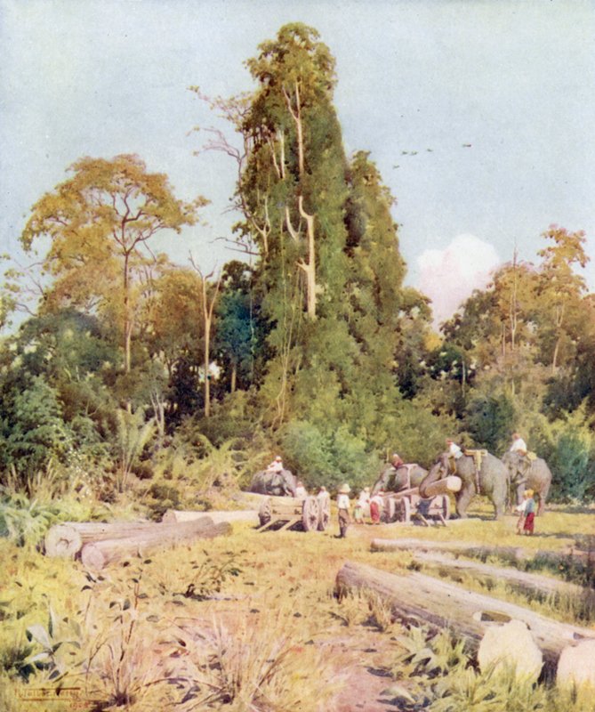 Caricamento del teak a Kokogon da Robert George Talbot Kelly