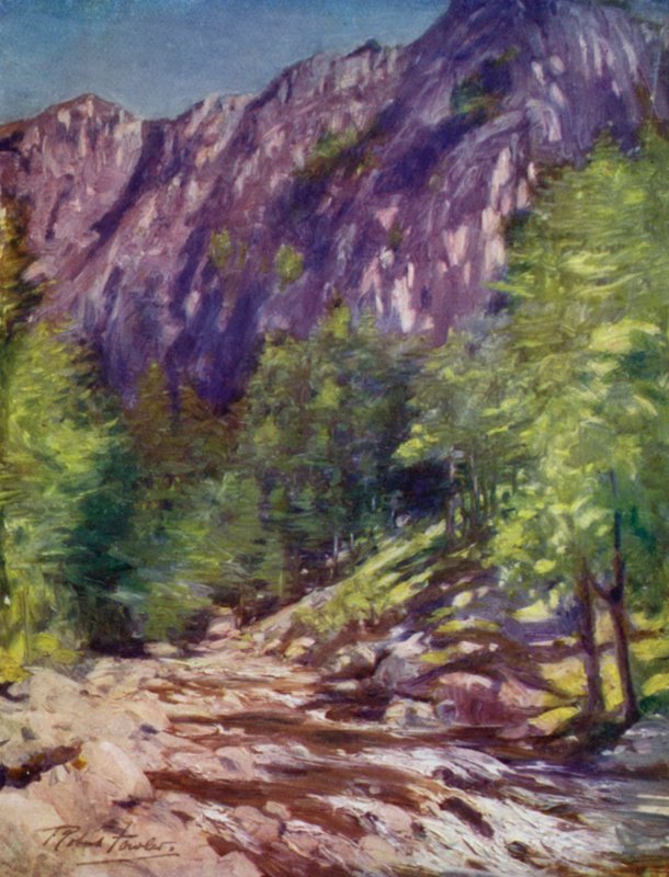 Aberglaslyn (litografia colorata) da Robert (after) Fowler