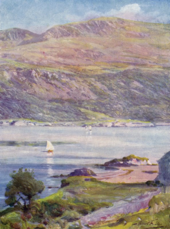Pomeriggio soleggiato, Cardigan Bay da Robert (after) Fowler