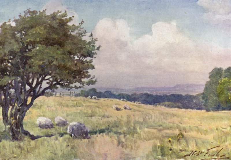 Campo soleggiato, vicino a Llanberis (litografia colorata) da Robert (after) Fowler