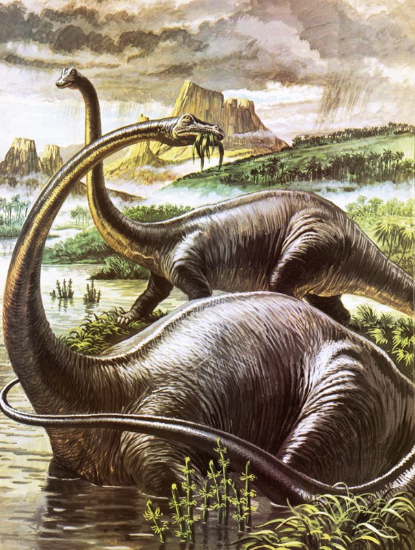 Diplodocus da Roger Payne