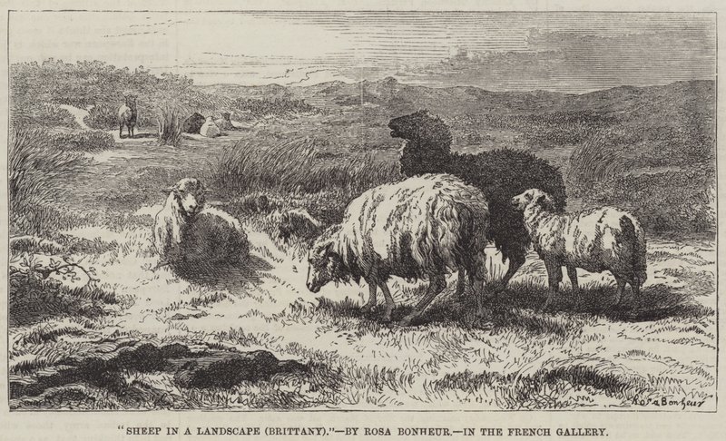 Pecore in un paesaggio, Bretagna da Rosa Bonheur