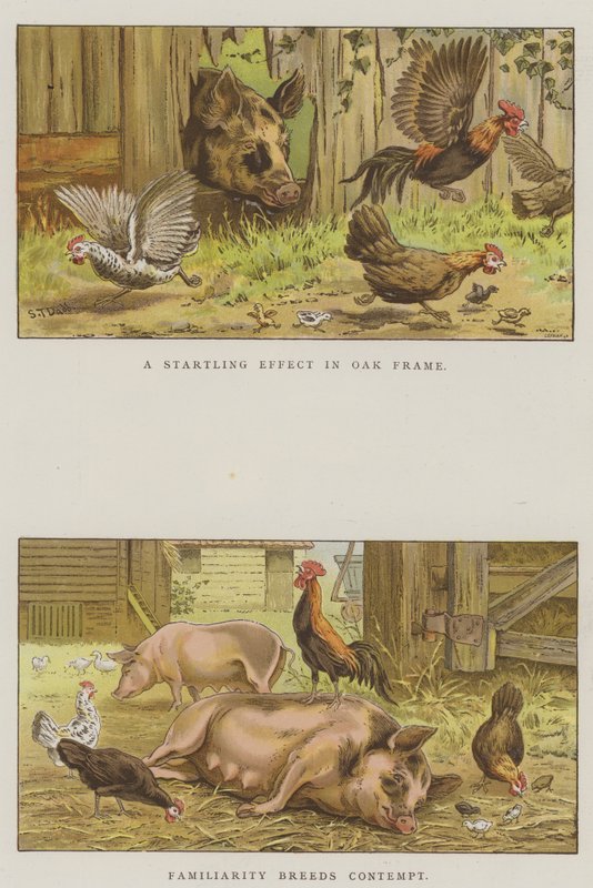 Scene di vita contadina (cromolitografia) da S.T. Dadd