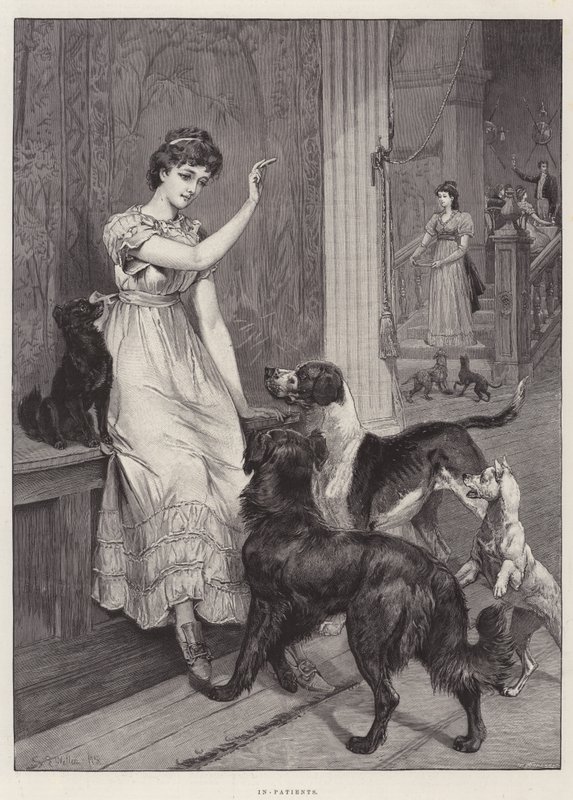 Pazienti Interni da Samuel Edmund Waller