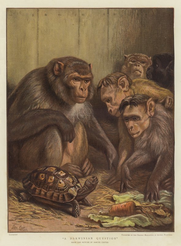 Una questione darwiniana da Samuel John Carter