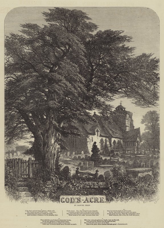 Il campo di Dio da Samuel Read