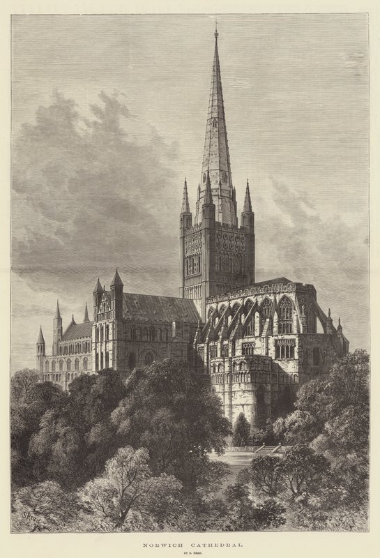 Cattedrale di Norwich da Samuel Read