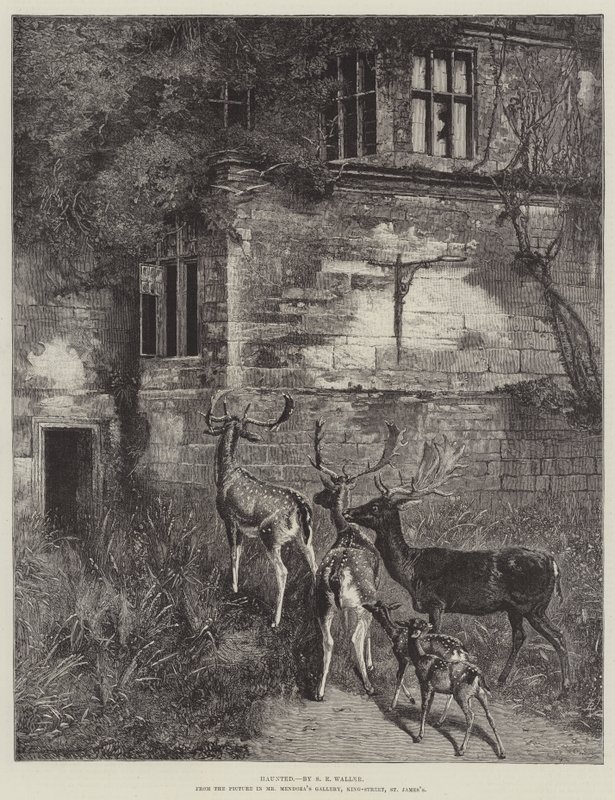 Infestato da Samuel Edmund Waller