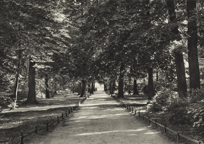 Berlino: Tiergarten da Sasha Stone