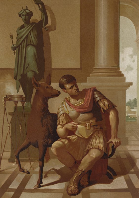 Quinto Sertorio e il suo cerbiatto da Spanish School