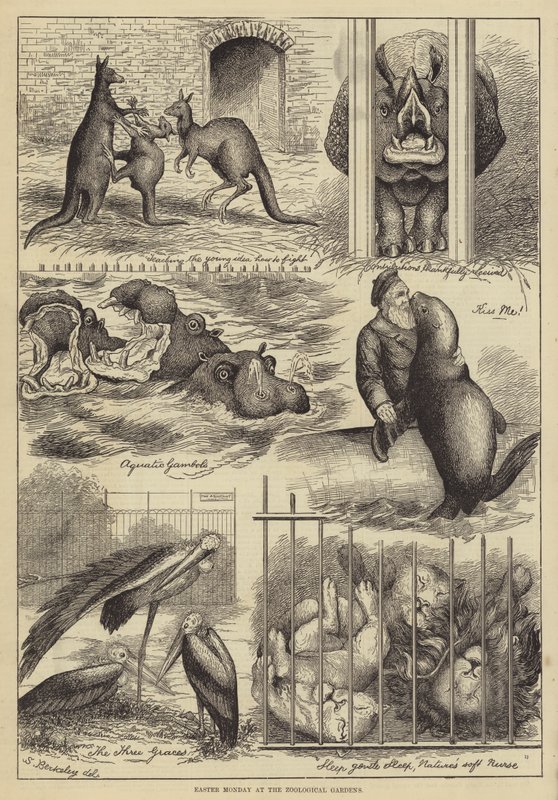 Lunedì di Pasqua ai Giardini Zoologici da Stanley Berkeley