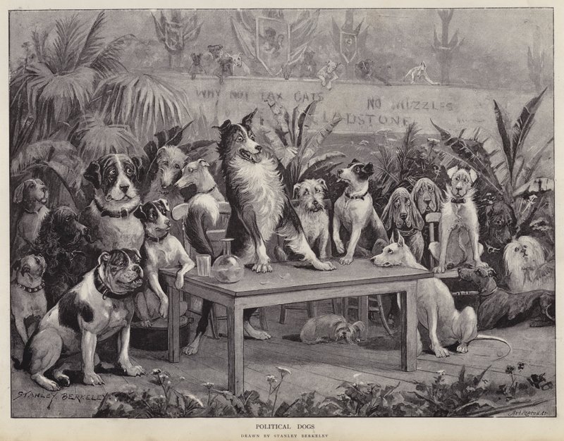 Cani Politici (litografia) da Stanley (after) Berkeley