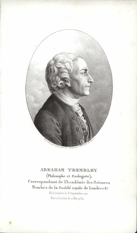 Abraham Trembley da Swiss School