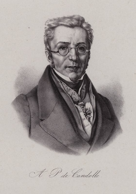 Augustin Pyramus de Candolle, botanico svizzero da Swiss School