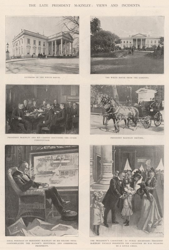 Il defunto Presidente McKinley, Vedute e Incidenti da T. Dart Walker