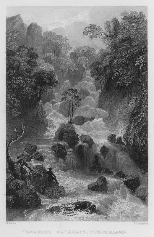 Cascata di Lowdore, Cumberland da Thomas (after) Allom