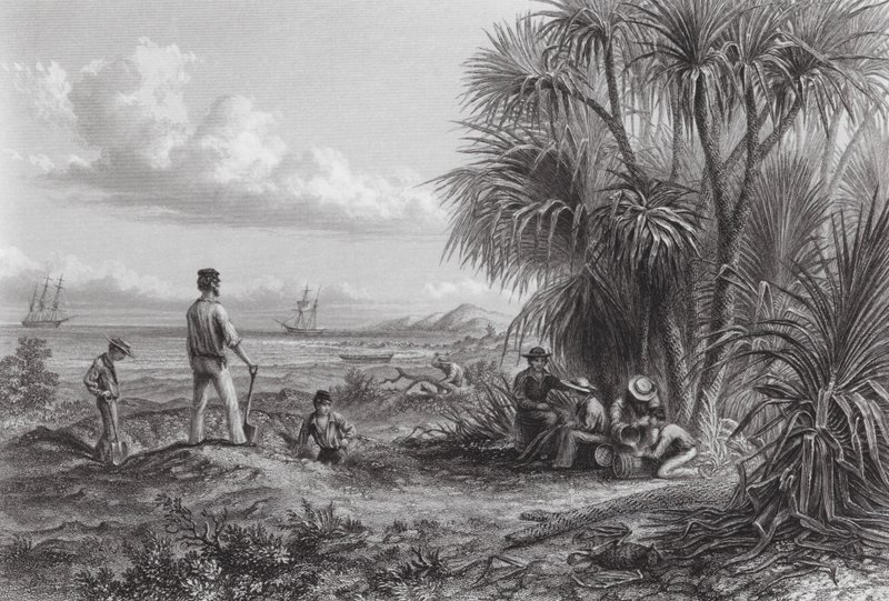 Australia: Campo di un Esploratore da Thomas (after) Baines