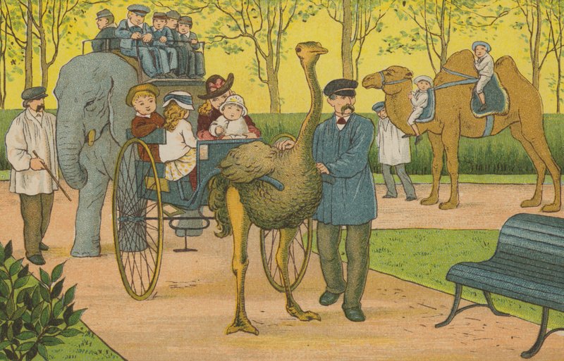Parigi: lo zoo da Thomas Crane