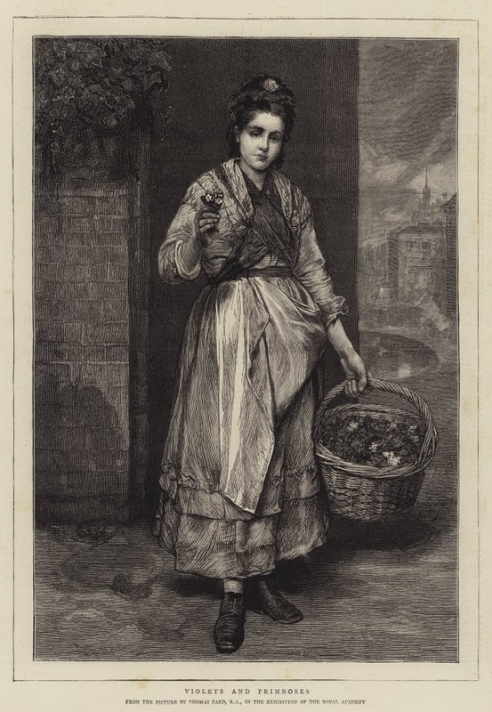 Viole e primule da Thomas Faed