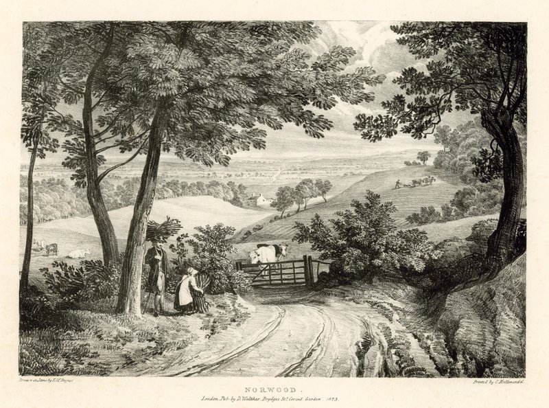 Norwood, Londra da Thomas Mann Baynes