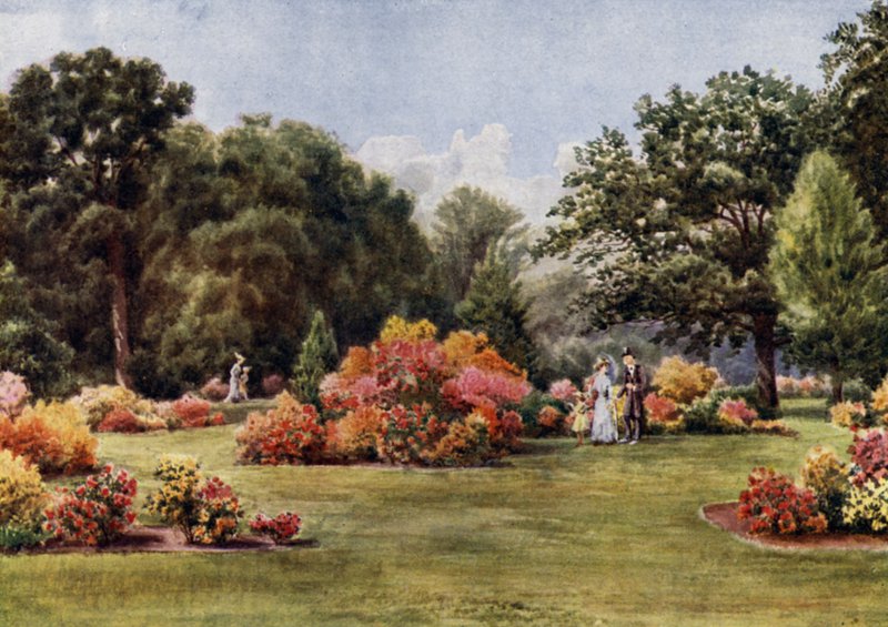 Giardini di Kew: Le Azalee da Thomas Mower Martin