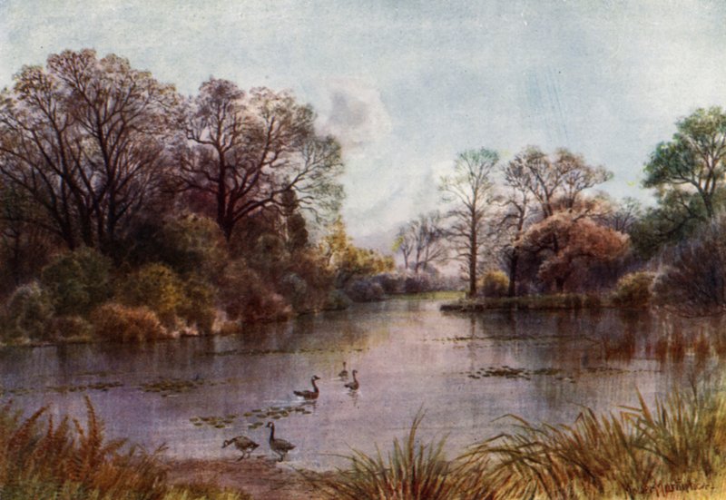 Giardini di Kew: Il lago da Thomas Mower Martin