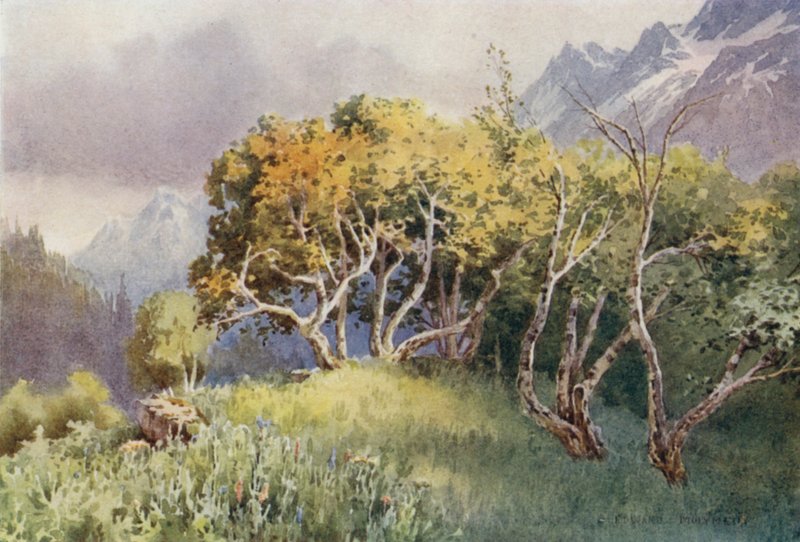 Sopra il campo, Sonamarg, Valle di Sind da Unbekannt Unbekannt