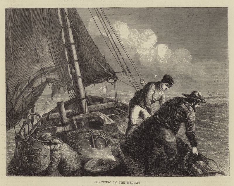 Pesca di gamberi nel Medway da Walter William May