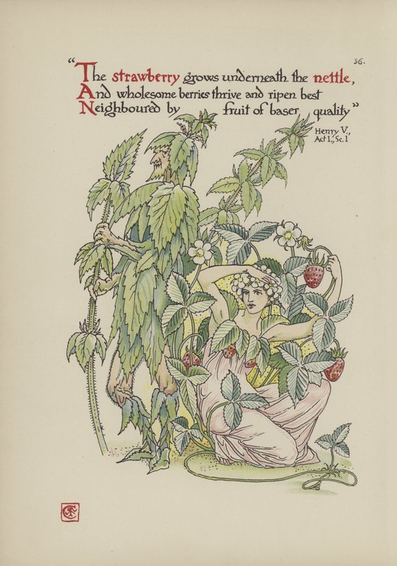 Fiori dal giardino di Shakespeare da Walter Crane